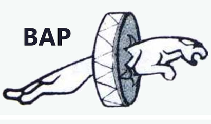 Datei:POL TR buyuk-anadolu-partisi1986-l1.png