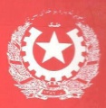 POL AF the-afghanistan-peoples-revolutionary-party-w1c.jpg