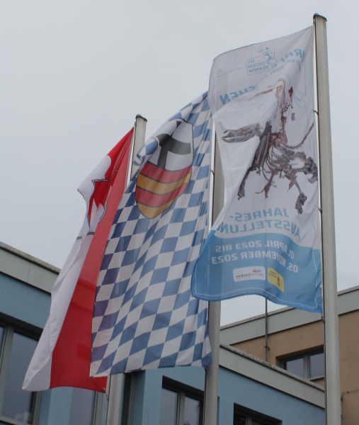 Datei:Solnhofen-ms1.jpg