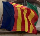 IT salerno.jpg