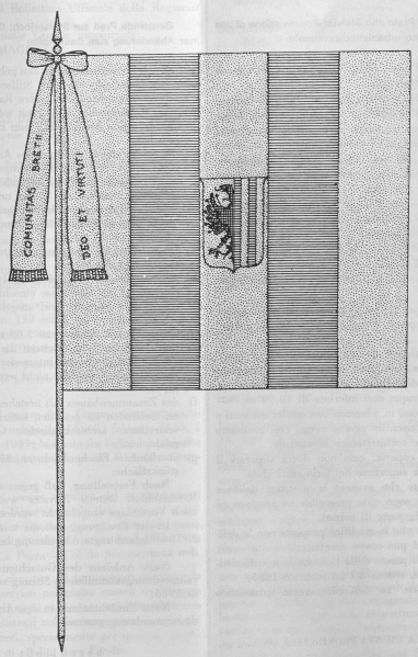 Datei:IT novella--brez-g0.png