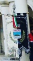 IT spresiano-g.jpg