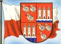 Neu5x-195-zwickau.jpg