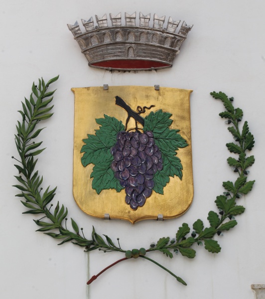 Datei:IT novella--revo-w-ms1.jpg