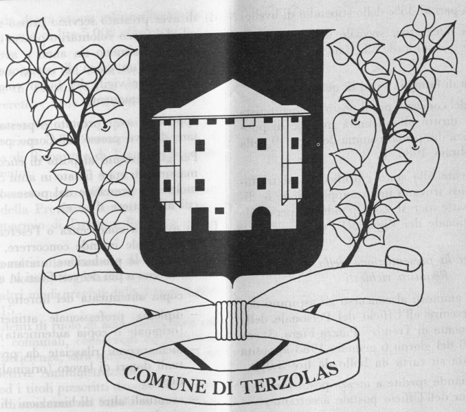 Datei:IT terzolas-w0.png