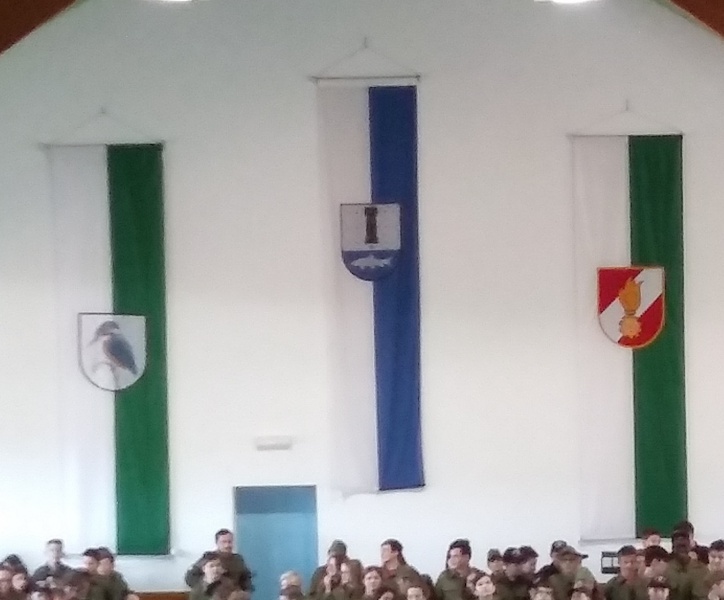 Datei:AT feldbach--raabau1etaldet.jpg