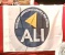 POL IT alleanza-liberaldemocratica-per-l-italia.jpg