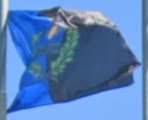 IT carbonia.jpg