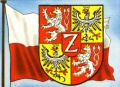 Neu5x-194-zittau.jpg