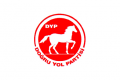 POL TR dogru-yol-partisi1983-f1.png